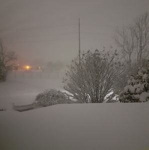 Meet your Posher, Socorro